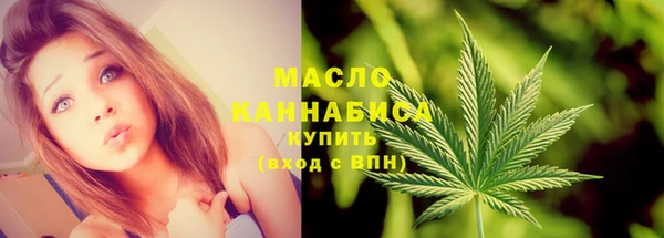 mdpv Богородицк