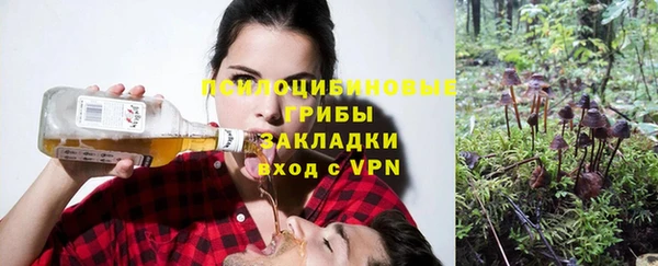 СК Беломорск