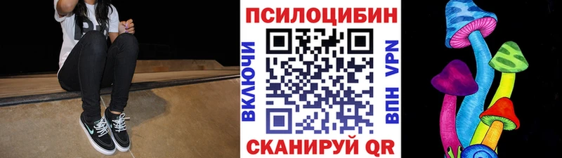 Псилоцибиновые грибы Cubensis  Борисоглебск 