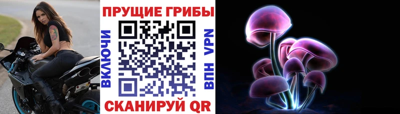 Галлюциногенные грибы Psilocybe Борисоглебск