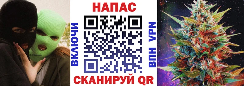 купить   Борисоглебск  Марихуана SATIVA & INDICA 